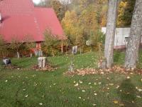 IMG_20221023_140125 (800x600).jpg
